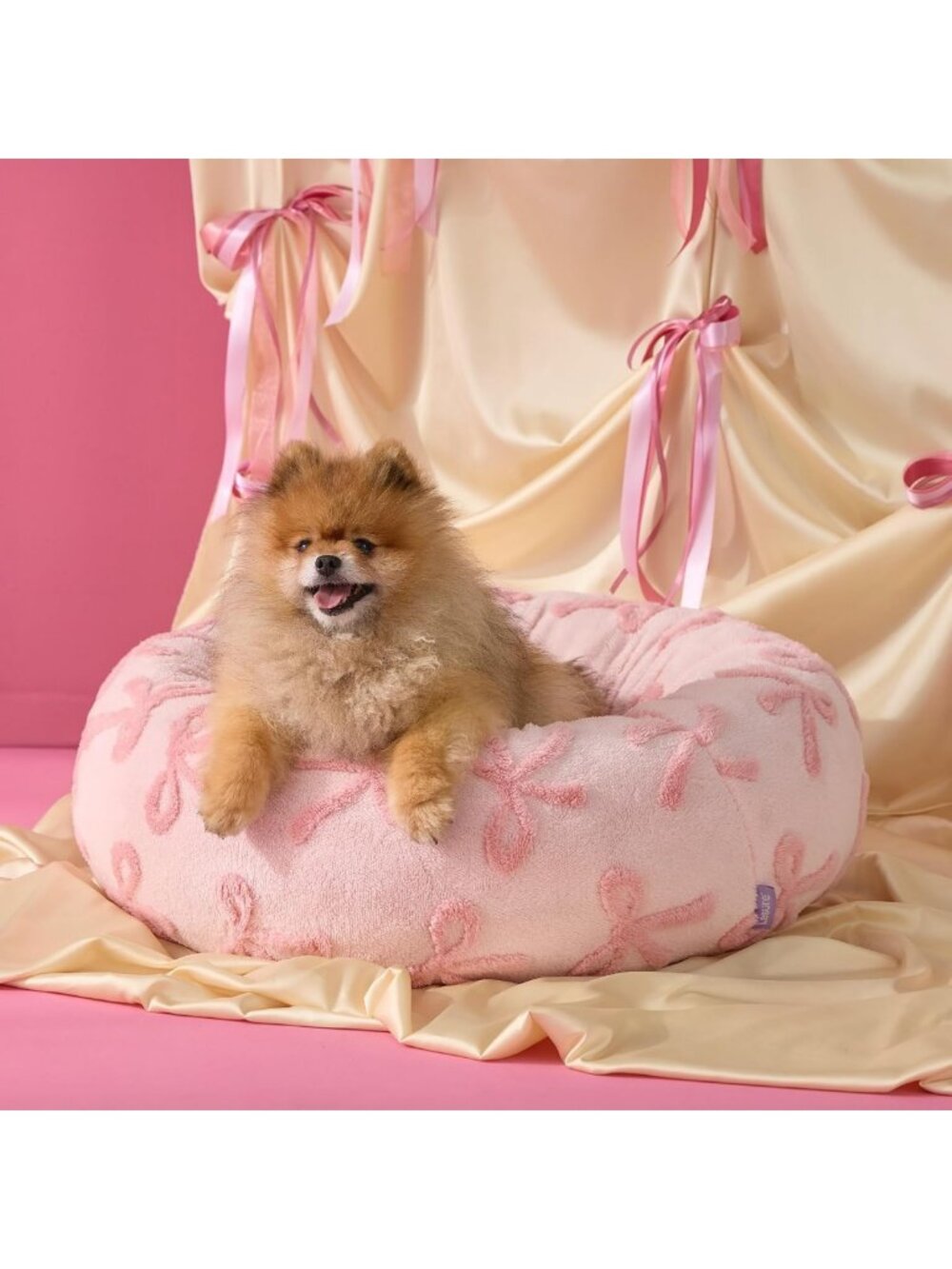 Cute Small Dog Bed, Jacquard Donut Design, Pink Taffy, 23x23x7in - Cozy Pet
